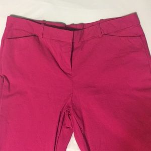 Berry pink dress pants